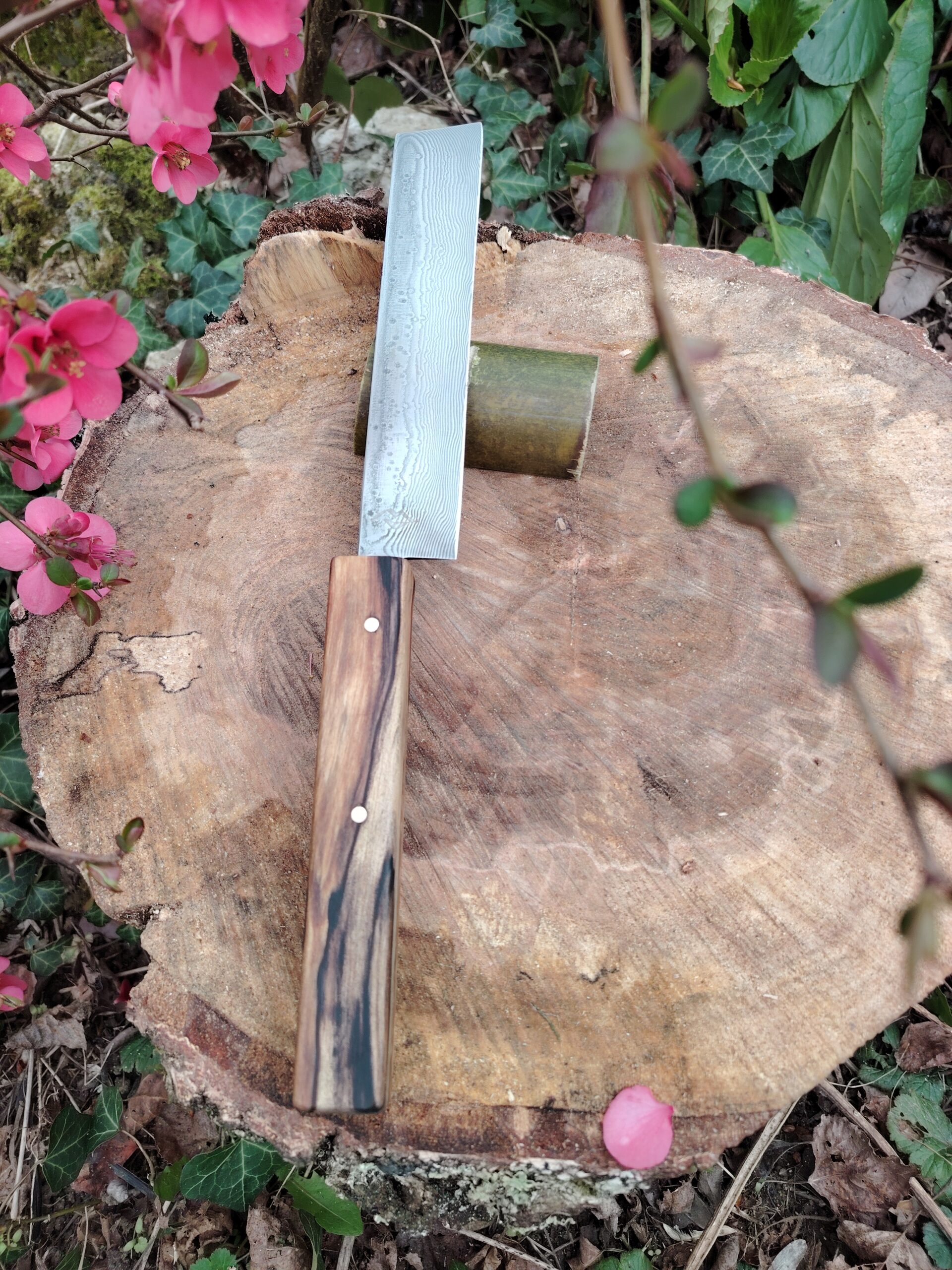 Nakiri damasteel face